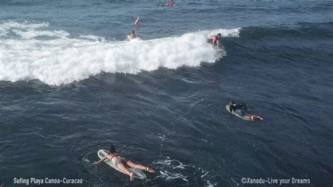surfing curacao|Iba pa.